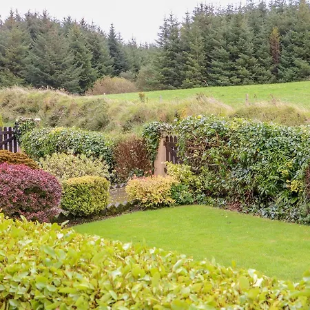 Forest View Bantry